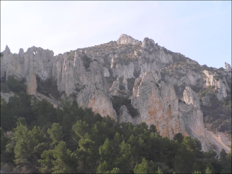 P3250398