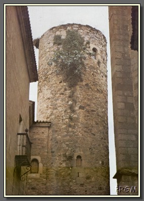 TorrePalaciodeCarvajal.jpg