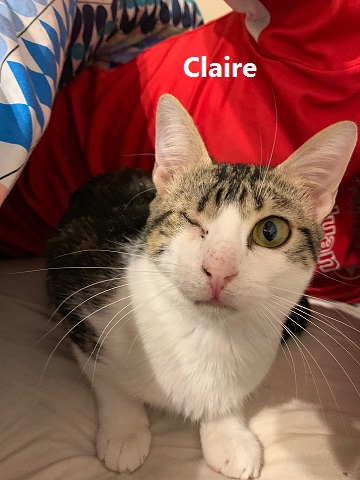 claire2.jpg claire2.jpg