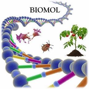 Logo BIOMOL