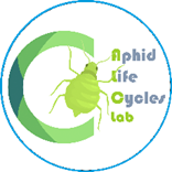 Logo Pulgones