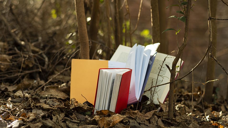 Libros en el bosque