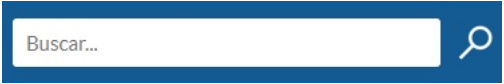 Screenshot of the simple search box