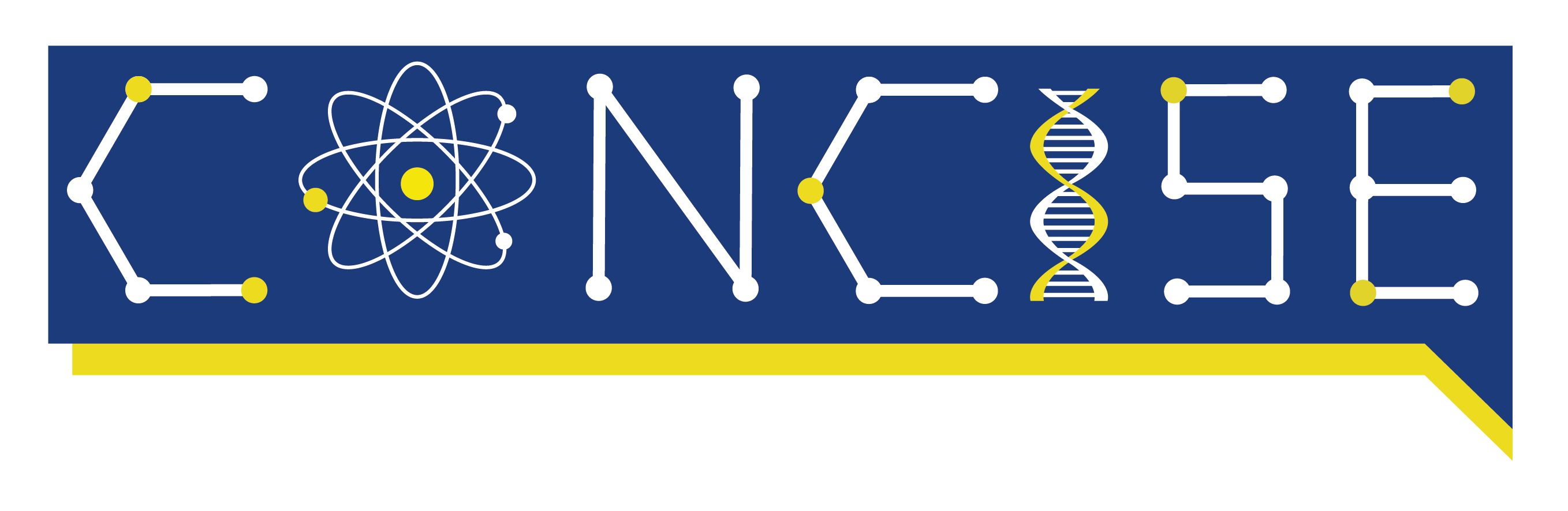 Logo CONCISE