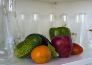 Alimenta la ciencia