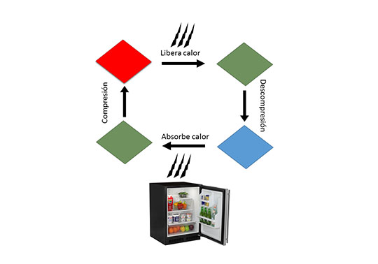 esquema científic