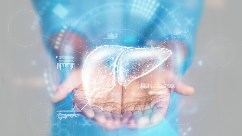 Hand of a surgeon holding a holographic liver