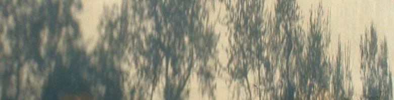 Foto pan393