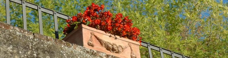 Foto pan395