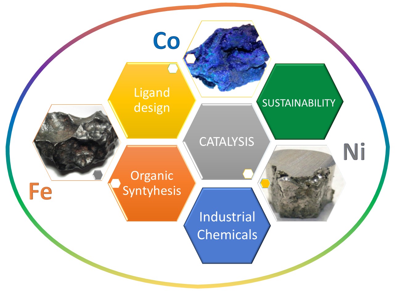 Schematic representation of interests of the research group