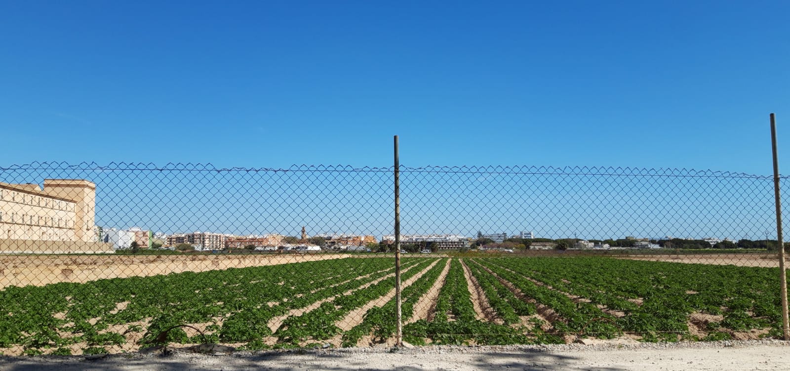 L'horta empresonada