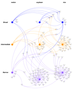 Regulatory networks of response to stress mediated by miRNAs