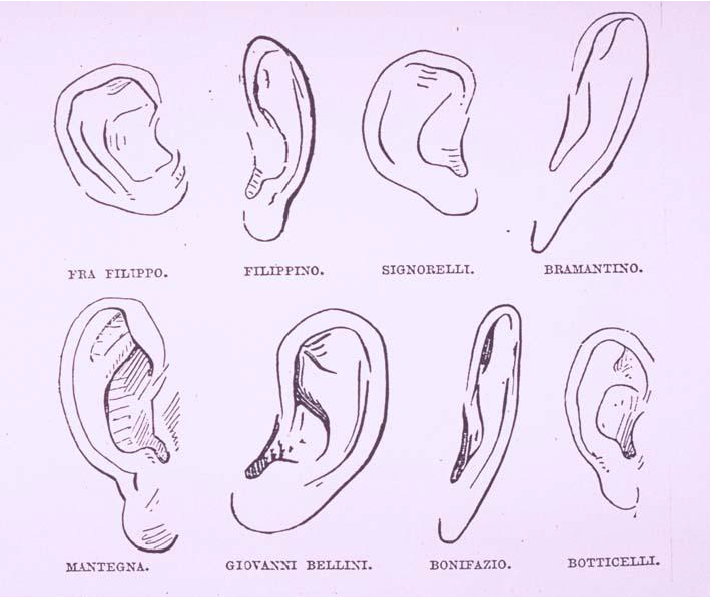 1. Formes de dibuixar l’orella de diversos pintors segons Giovanni Morelli