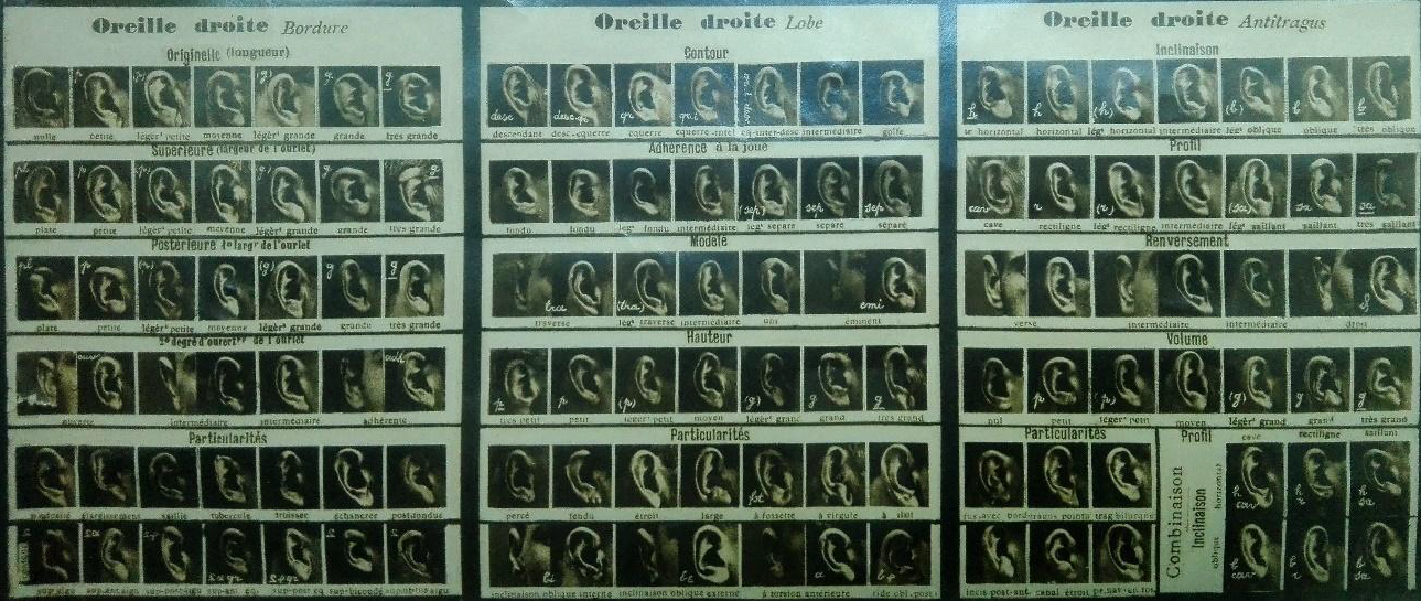 Imatges emprades per al “retrat parlat” dissenyat pel policia francès Alphonse Bertillon per a la identificació de delinqüents. Biblioteca Peset Llorca, IHMC, Universitat de València.
