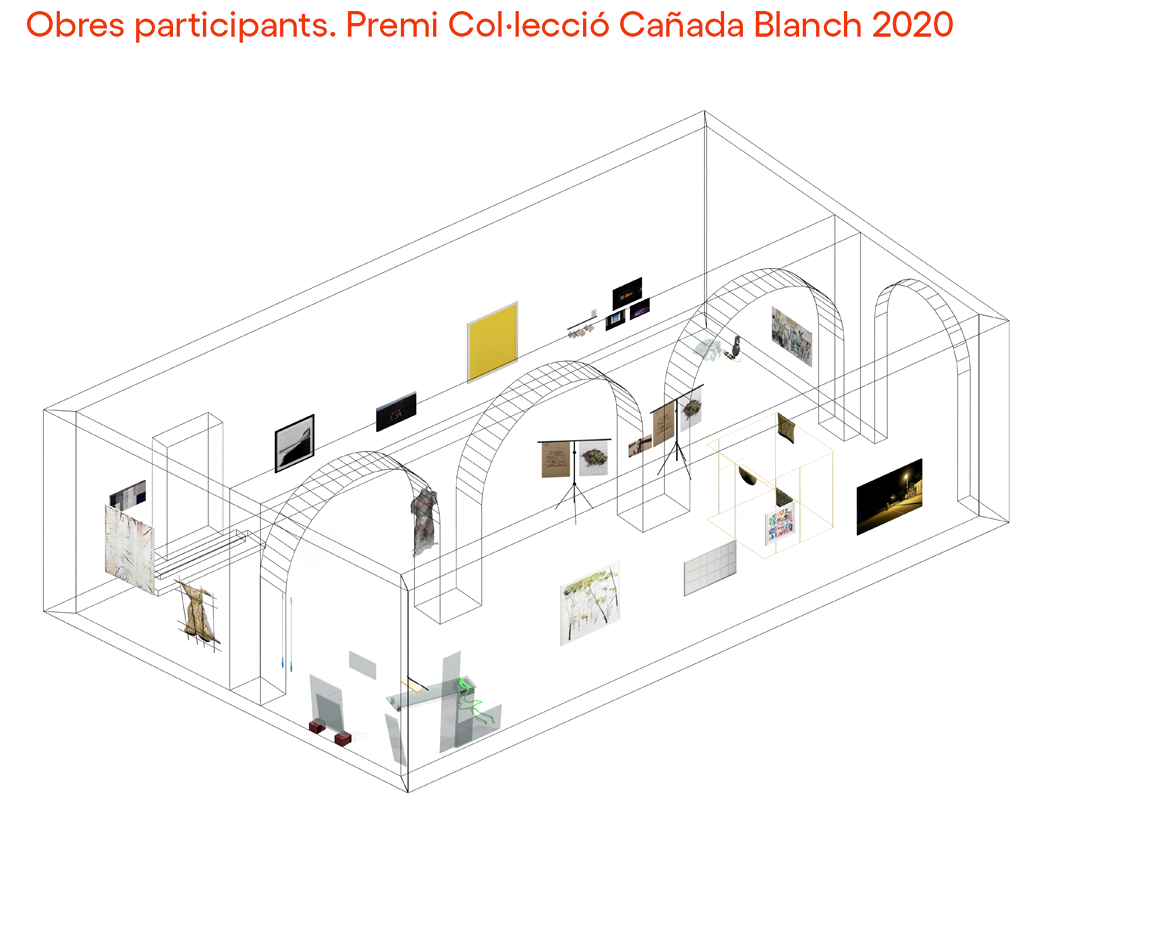Premi Col·lecció Cañada Blanch 2020 Exposició virtual: L'altra condició Centre Cultural La Nau