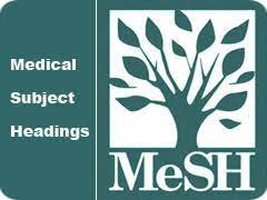 Mesh