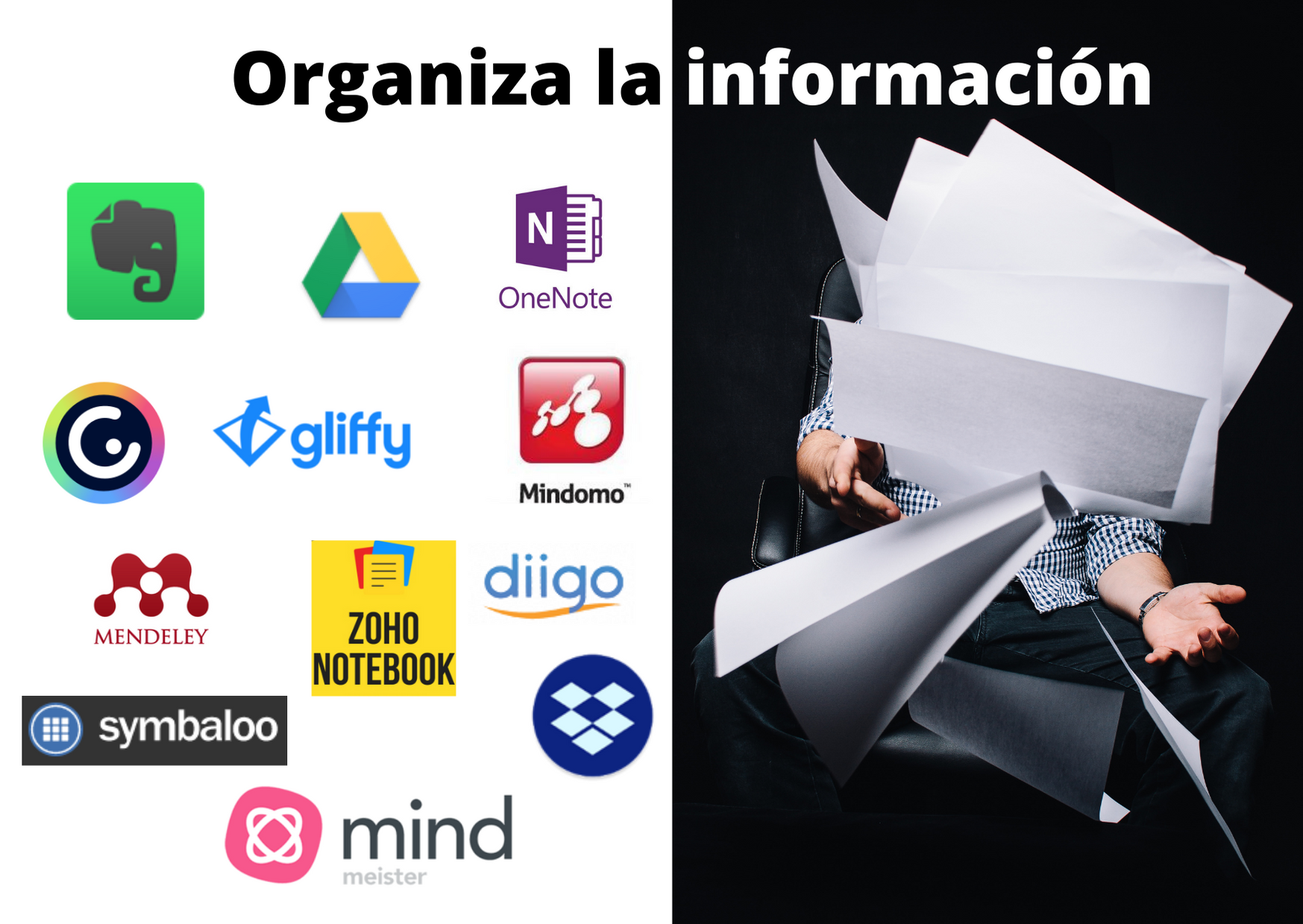 Organiza la información