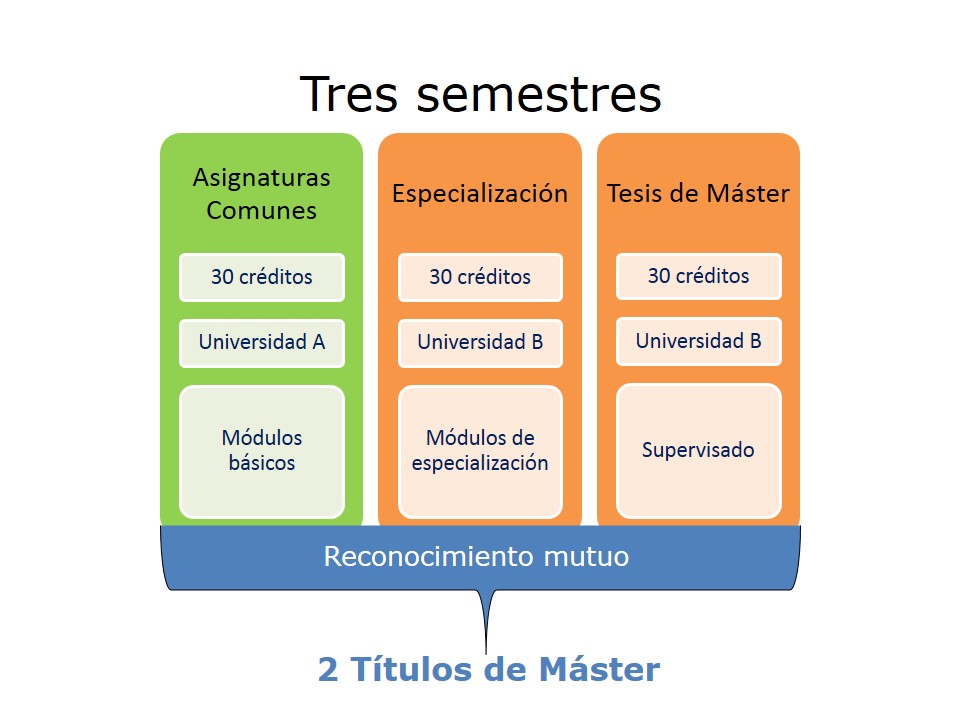 Estructura Máster