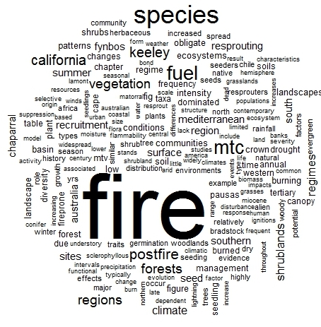 word cloud