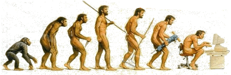 human evolutionary timeline