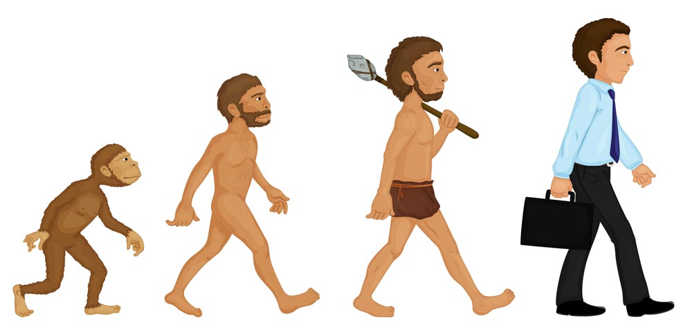 Evolutionary Stages Of Man Chart