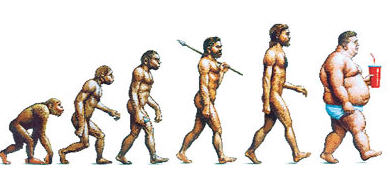 Evolution Of Man Chart