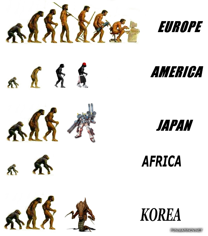 Evolution Of Man Chart