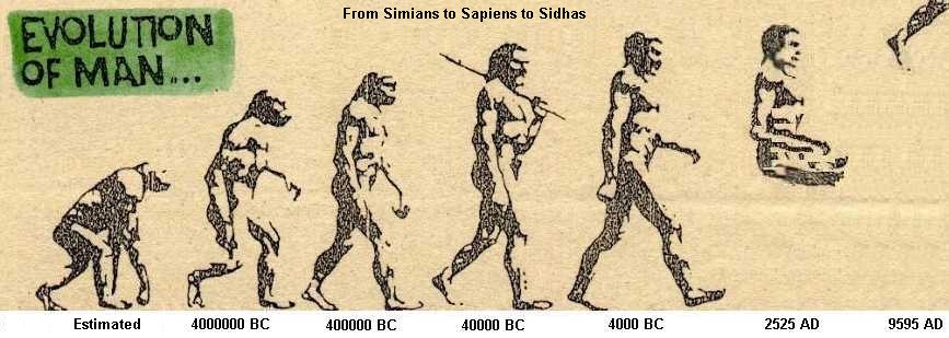 Human Evolution Stages Chart