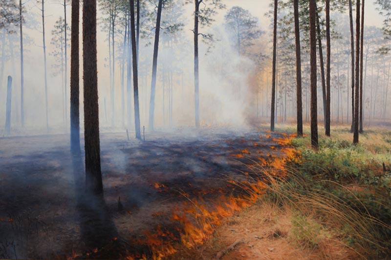 Wildfires in paintings