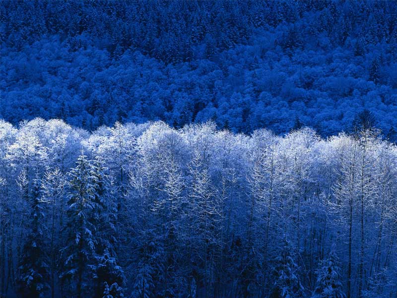 Foto invernal