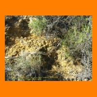 DSCN0043.jpg