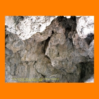 DSCN0049_edited.jpg