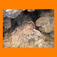 DSCN0054_edited.jpg