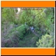 DSCN0135.JPG
