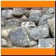 DSCN0163.JPG