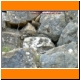 DSCN0164.JPG