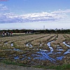 PIC_0035_edited