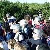 PIC_0038