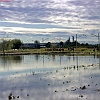 PIC_0045_edited