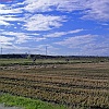 PIC_0049_edited