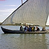 PIC_0079_edited