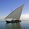 PIC_0095_edited