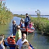 PIC_0096_edited