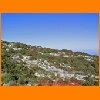 PIC_0189_edited.JPG