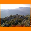 PIC_0196_edited.JPG