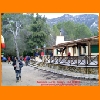 PIC_0247_edited.JPG
