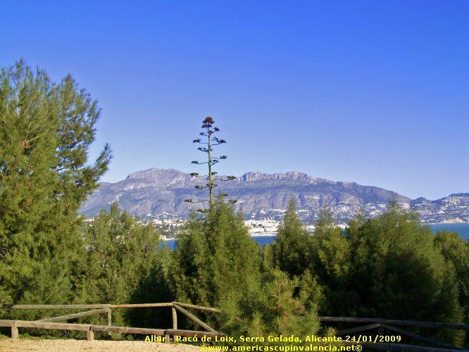 PIC_0310_edited.JPG - ˆ���Ž�€��©ª�����‰deŠ‰ü–�¶´¸‹����´Ô���Œ2Wf�[€²�ÄŠŠ������ÍÍ��)¸ZZ²1