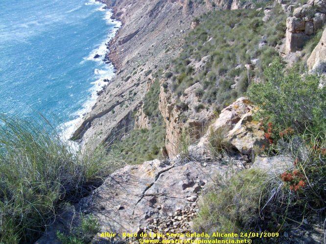PIC_0360_edited.JPG - ˆ���Ž�@��©ª�����‰k7ŽŠ…è–�´´˜‹����´½���Œl1‚�X@n�´€†������ÍÍ��)¸ZZ²1