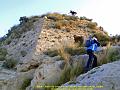 PIC_0303_edited