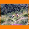 PIC_0409_edited.JPG